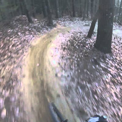Ride the Ridgeline Trail: Dupont State Forest