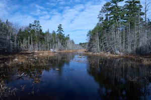 Hike to Cranberry Lake in Moosehorn NWR