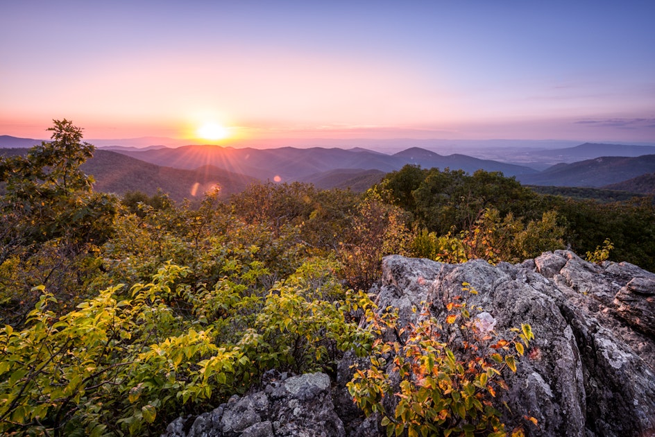 Hike Frazier Discovery Trail, Free Union, Virginia