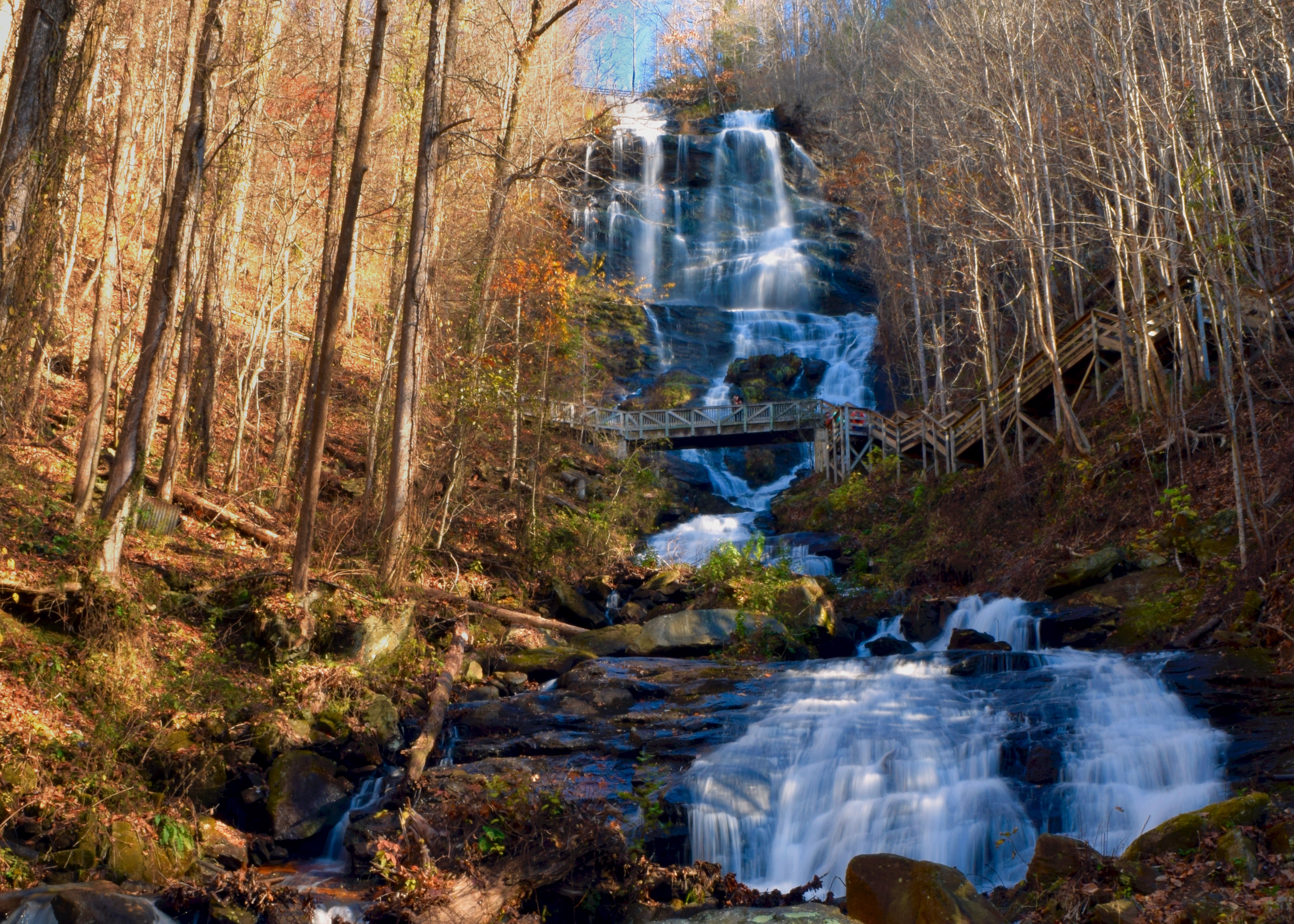 Explore the Tallest Waterfall in the South at Amicalola Falls