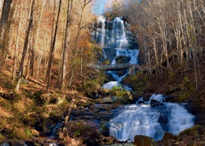 Explore the Tallest Waterfall in the South at Georgia's Amicalola Falls