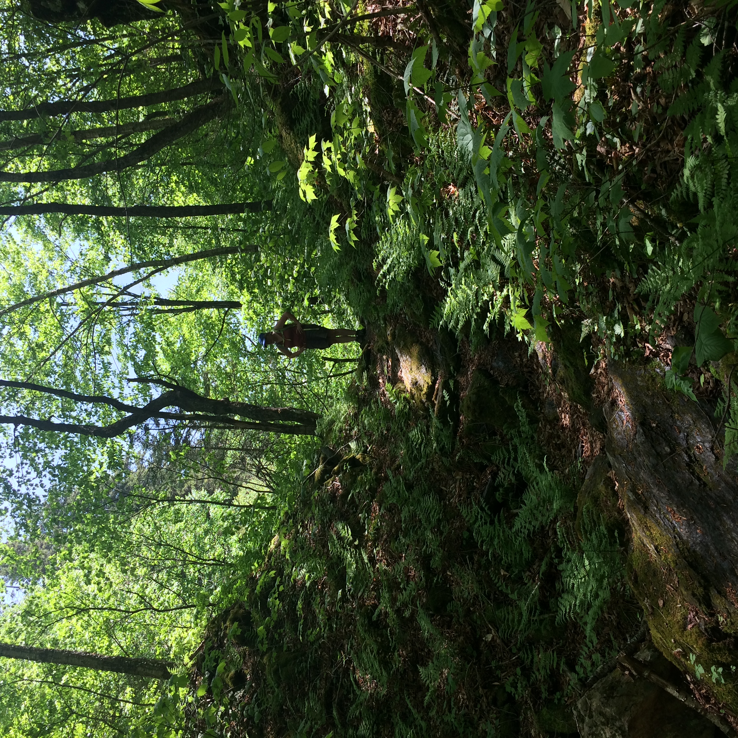 Devil's Gulch 