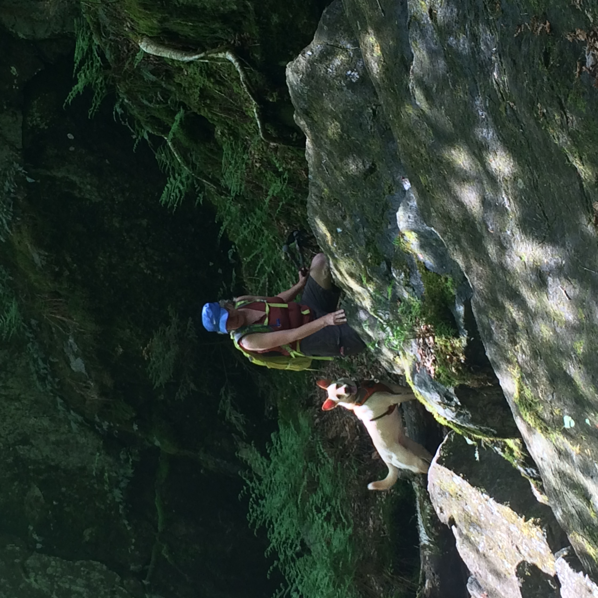 Devil's Gulch 