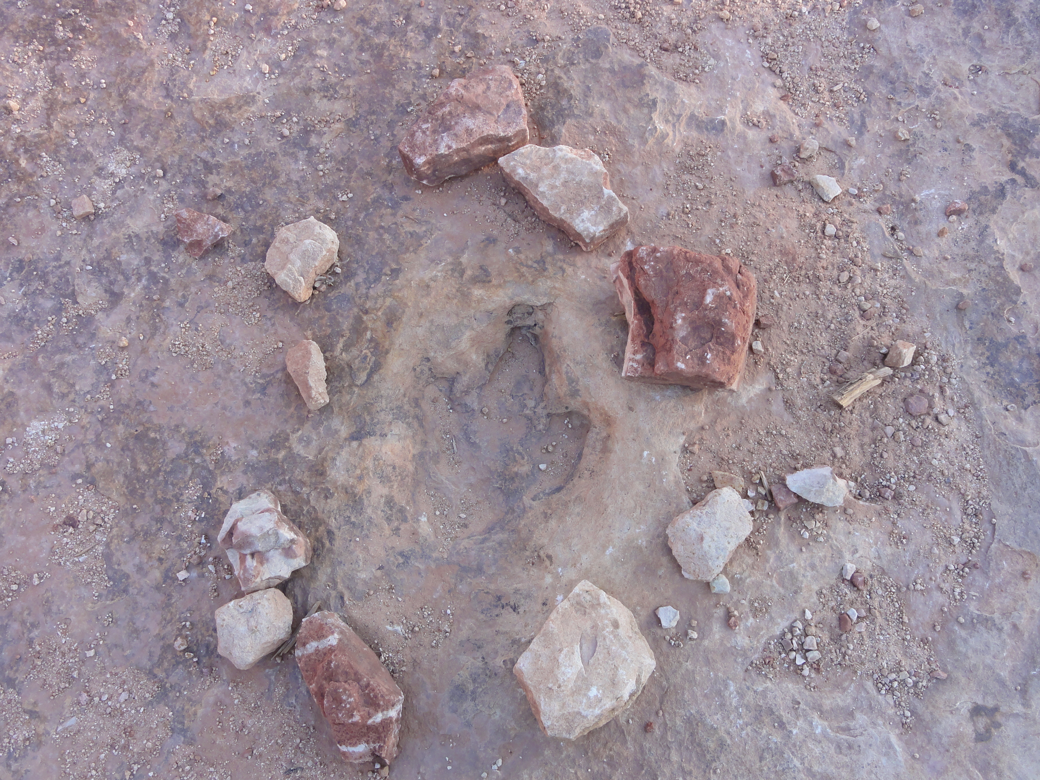 Hike to the Klondike Bluff Dinosaur Track