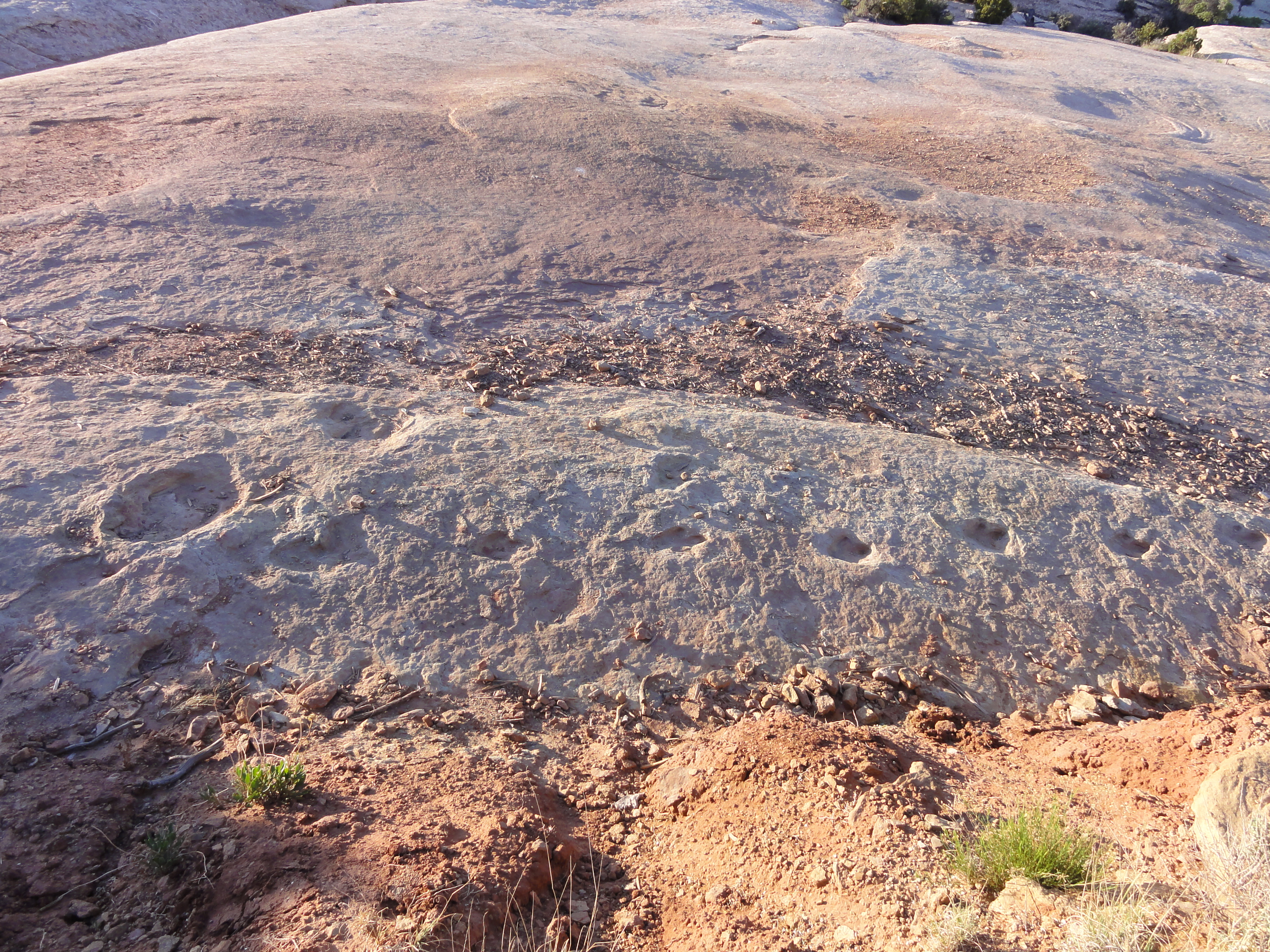 Hike to the Klondike Bluff Dinosaur Track