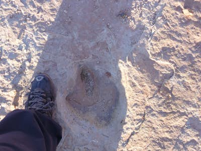 Hike to the Klondike Bluff Dinosaur Track