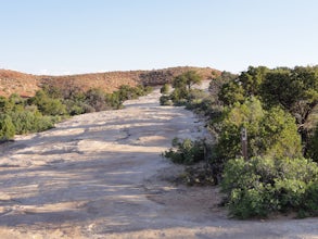 Hike to the Klondike Bluff Dinosaur Track