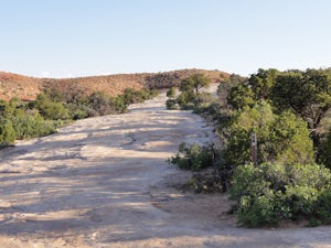 Hike to the Klondike Bluff Dinosaur Track