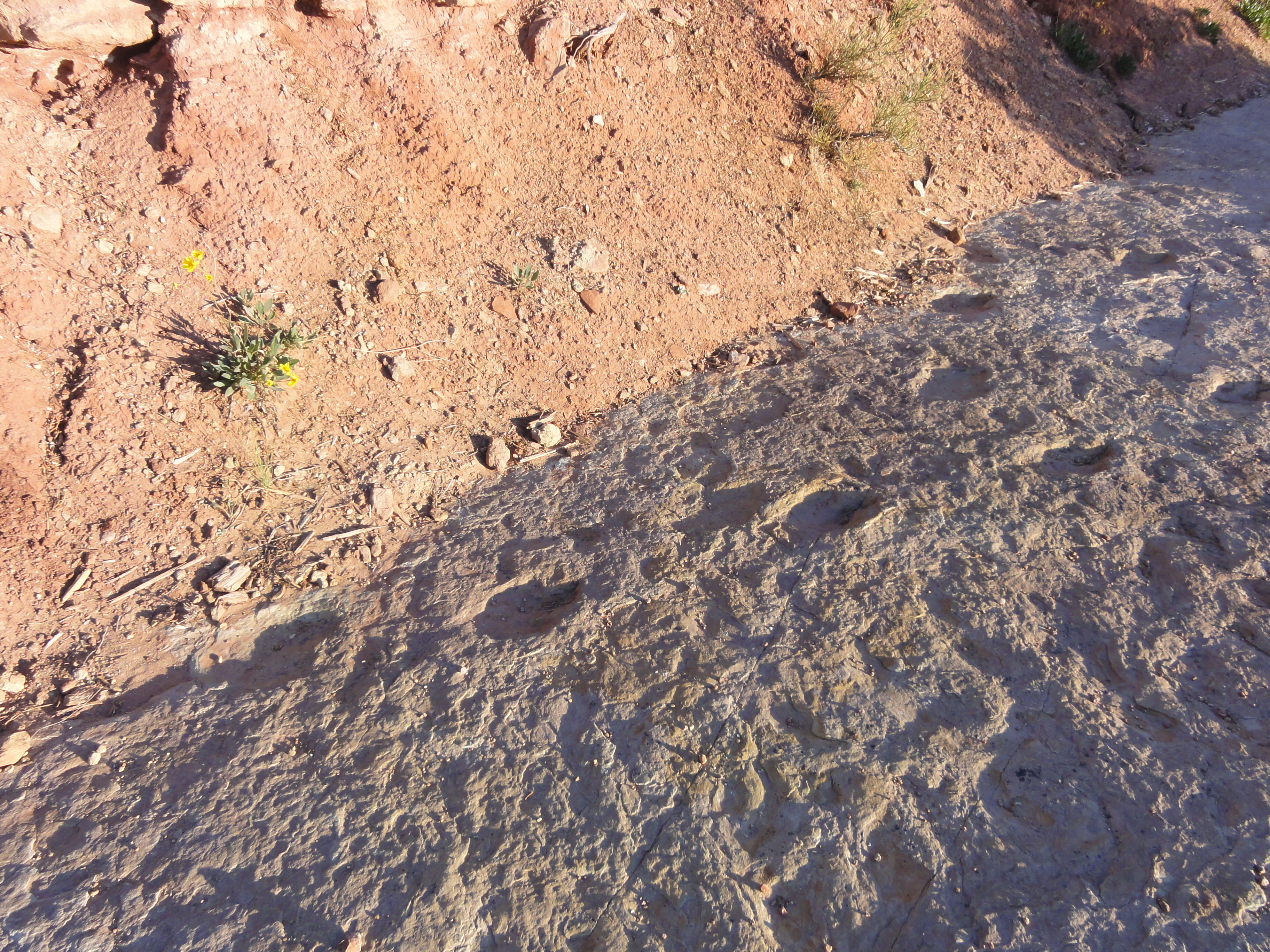 Hike to the Klondike Bluff Dinosaur Track