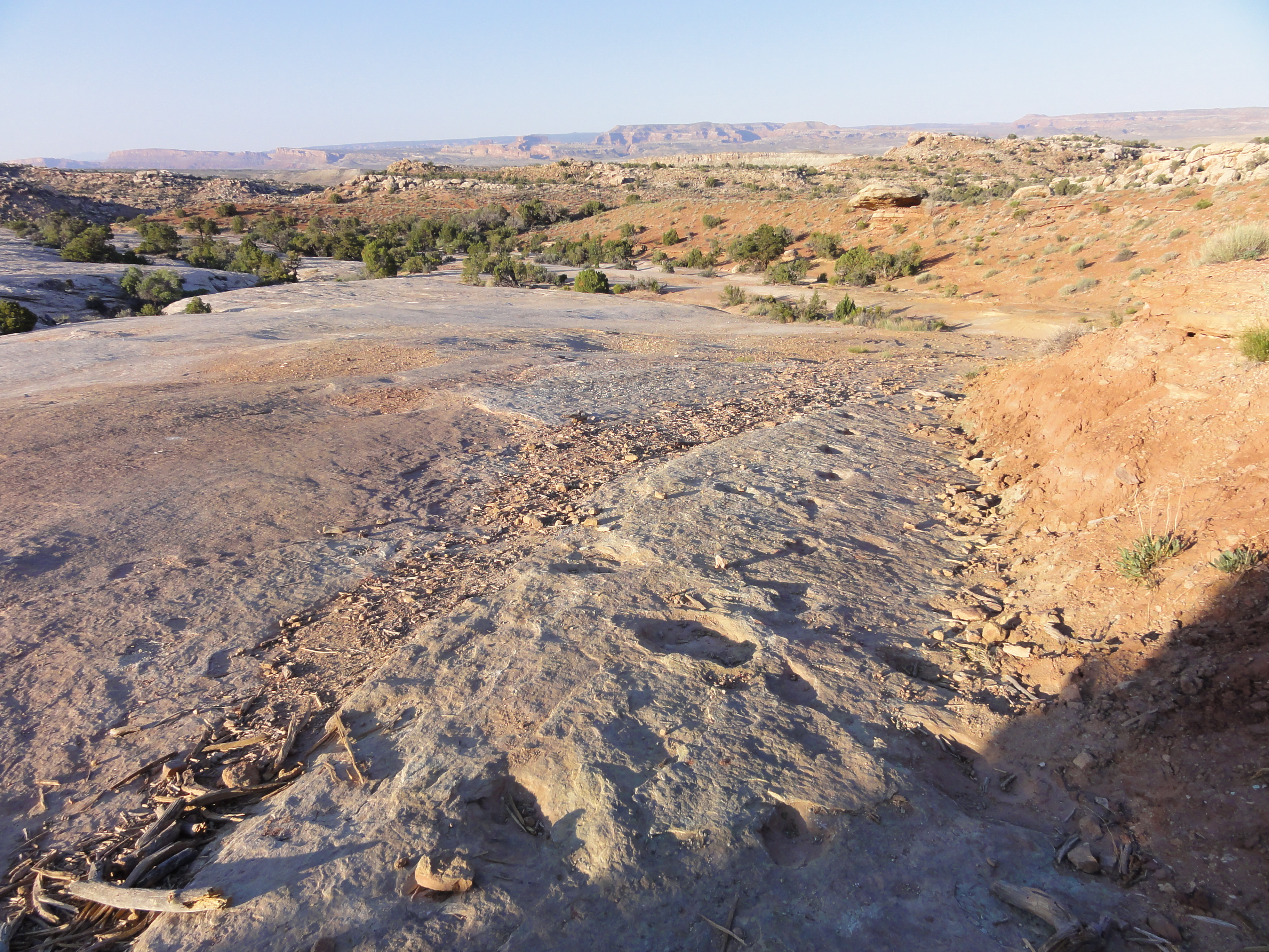 Hike to the Klondike Bluff Dinosaur Track