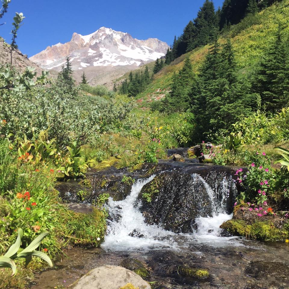 Hike Paradise Park