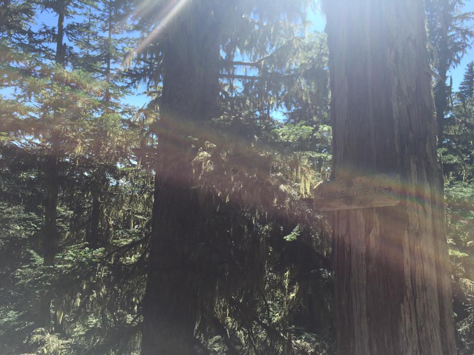 Hike Paradise Park