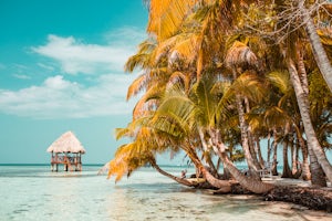 Getting Deathly Sick on a Dream Job in Belize