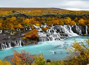 5 Reasons Why You Should Visit Iceland in the Fall