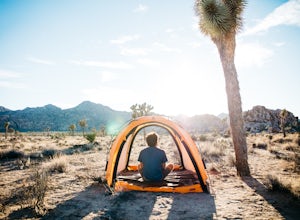 How to Camp in Joshua Tree National Park for Free
