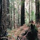 Hike the Roys Redwood Preserve Loop