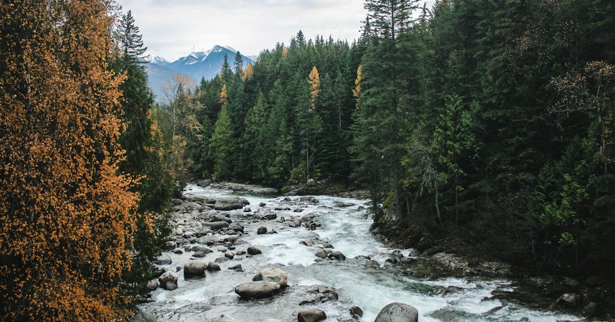 Lucky 8 Auto >> Hike the Kaslo River Trail, Kaslo River Trail Lucky 8 Auto >> Hike the Kaslo River Trail, Kaslo River Trail