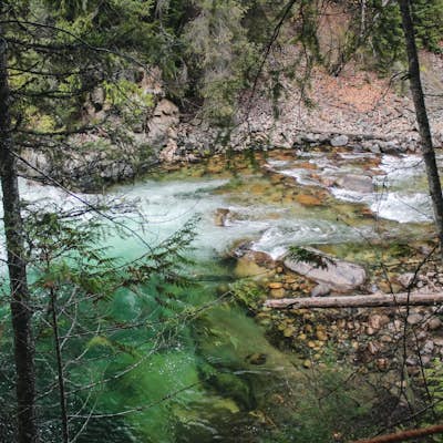 Hike the Kaslo River Trail