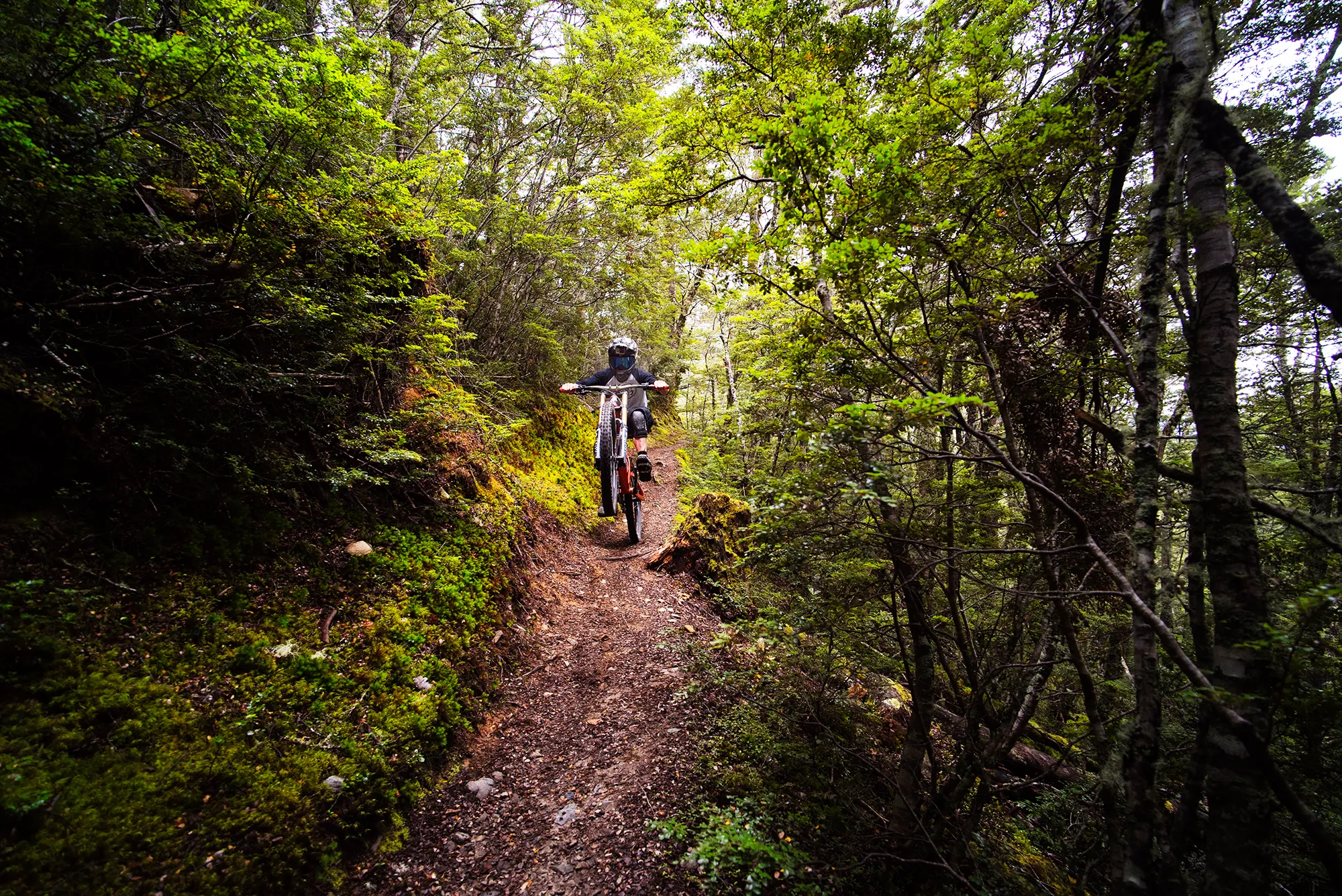 Ride the Craigieburn Mountain Bike Trails