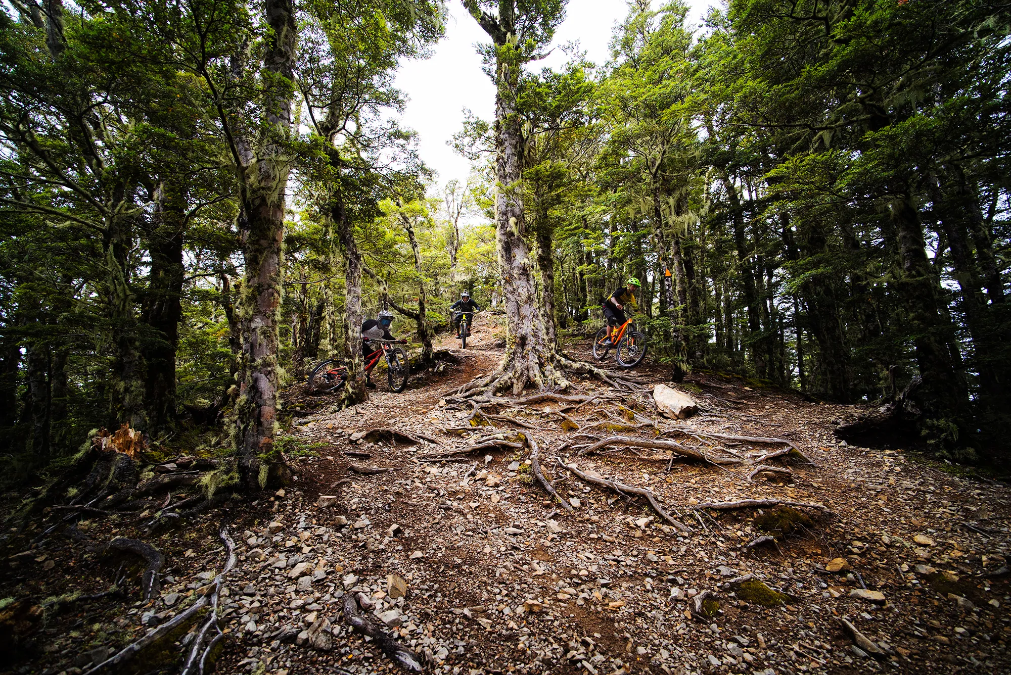 Ride the Craigieburn Mountain Bike Trails