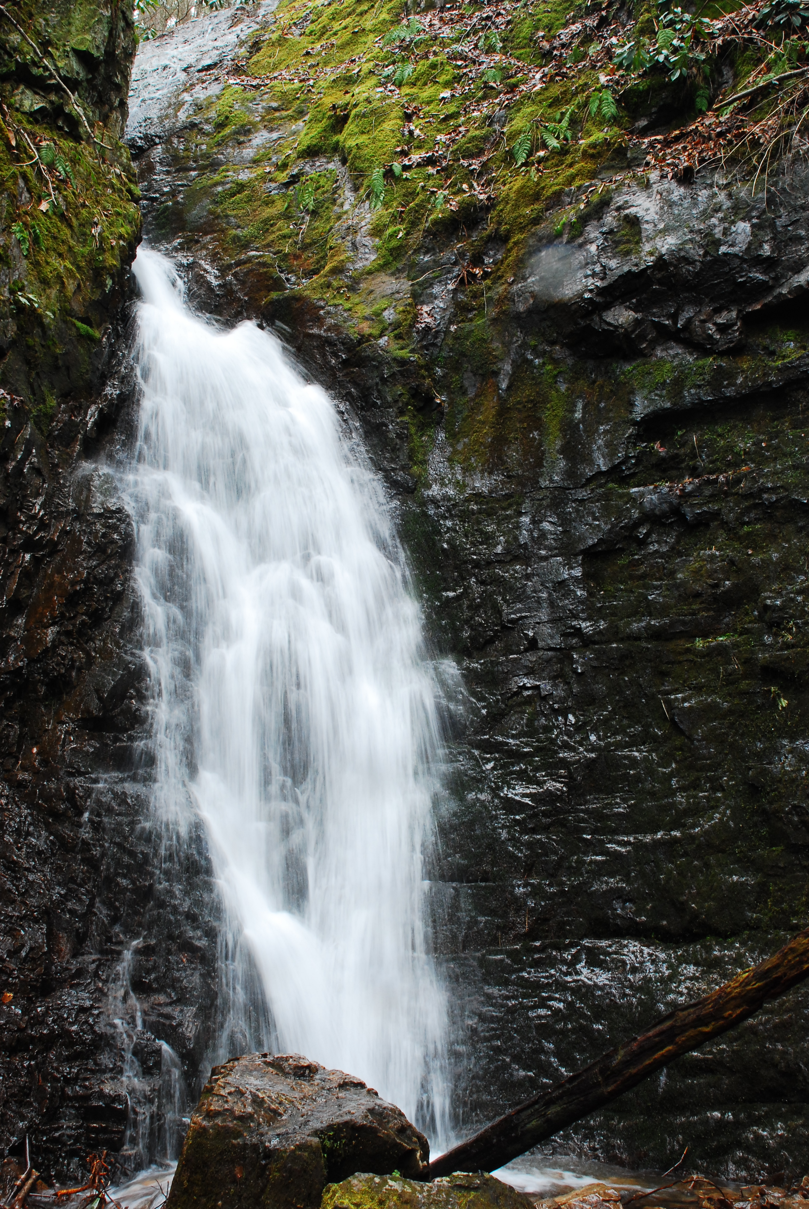 Explore Backbone Rock and Falls