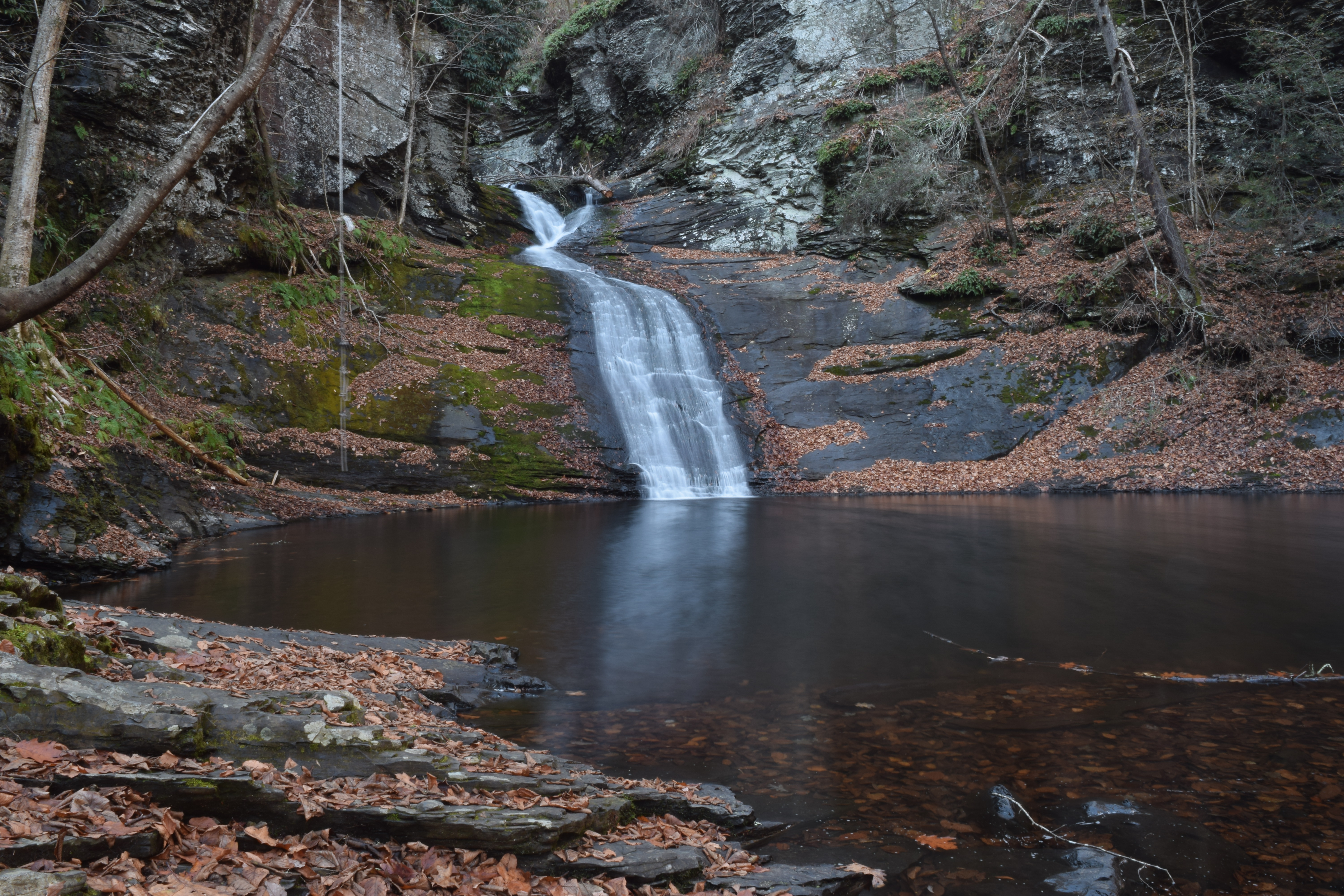 The best Trails and Outdoor Activities in and near White Haven