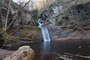 Hike to Hornbeck's Creek Waterfall