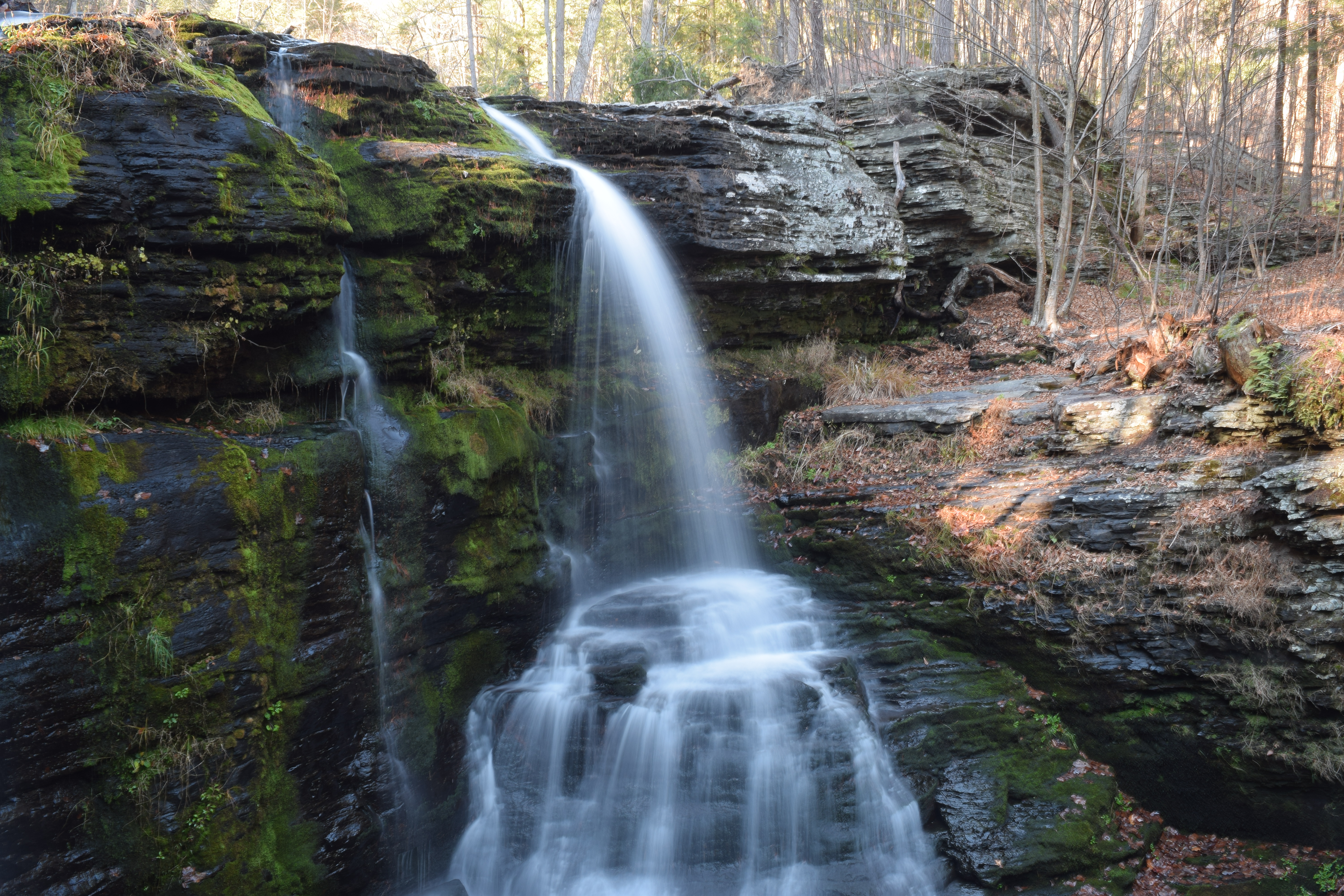 George W Child's Park