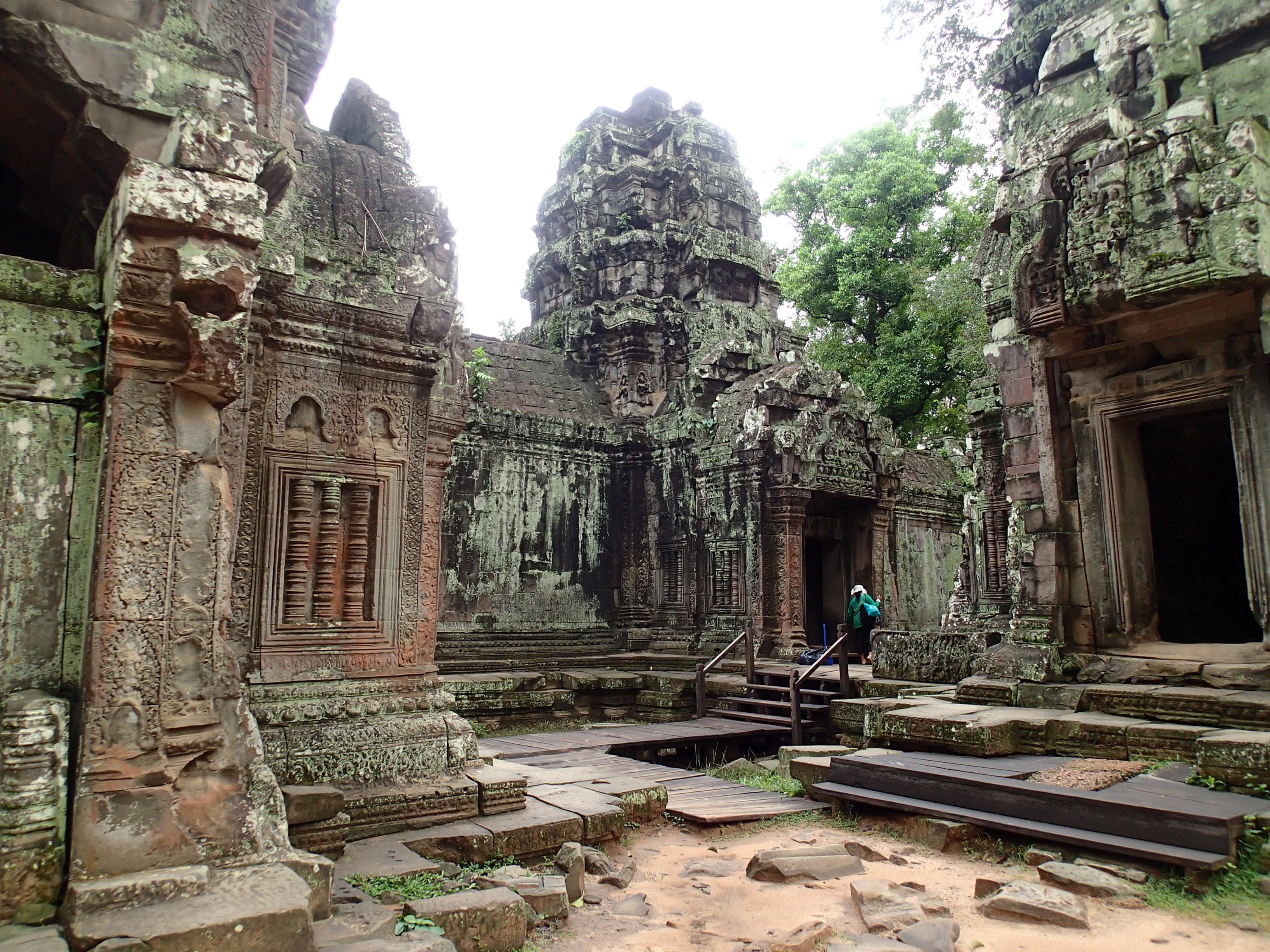 Find the Ta Prohm Stegosaurus