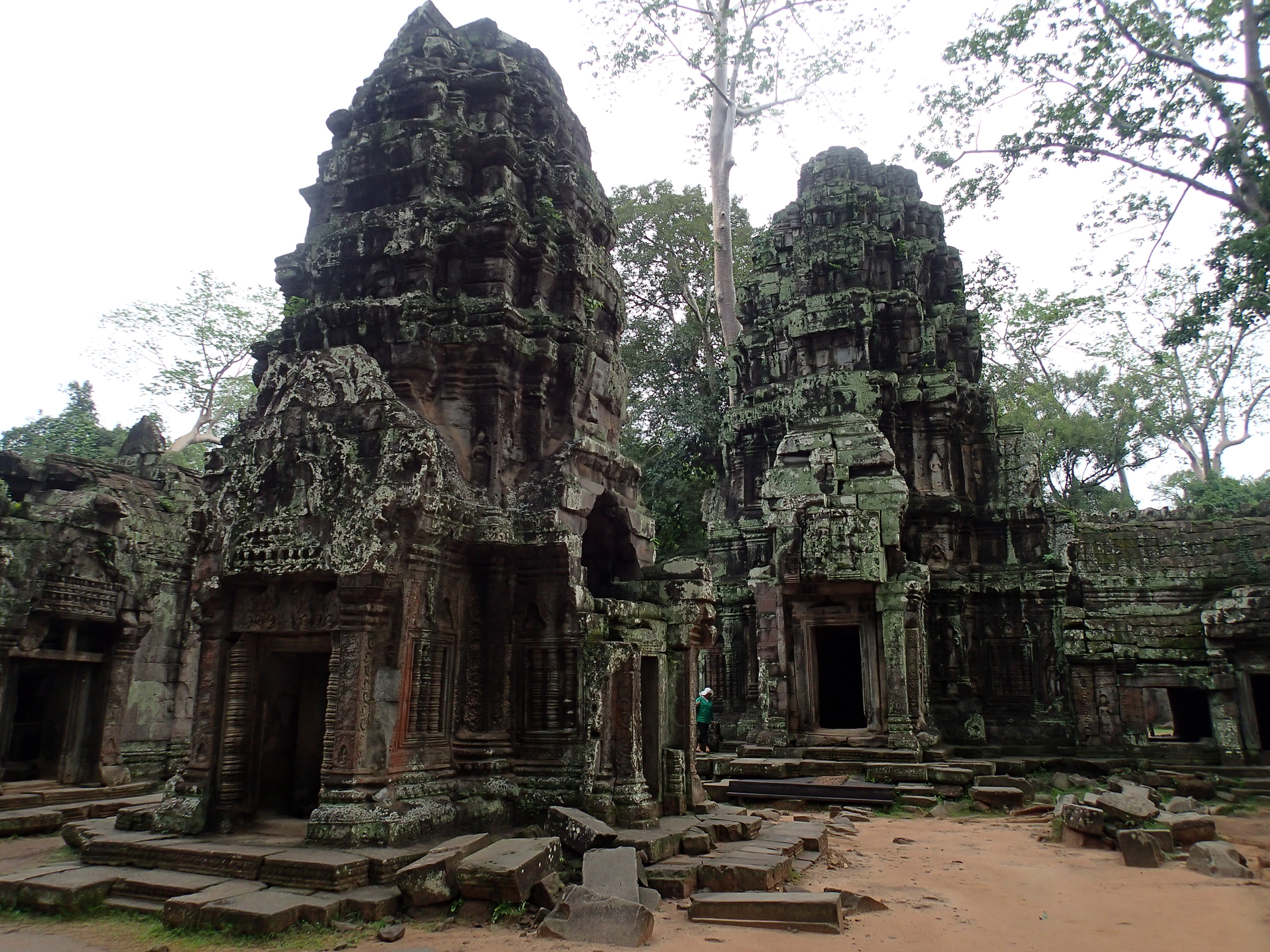Find the Ta Prohm Stegosaurus