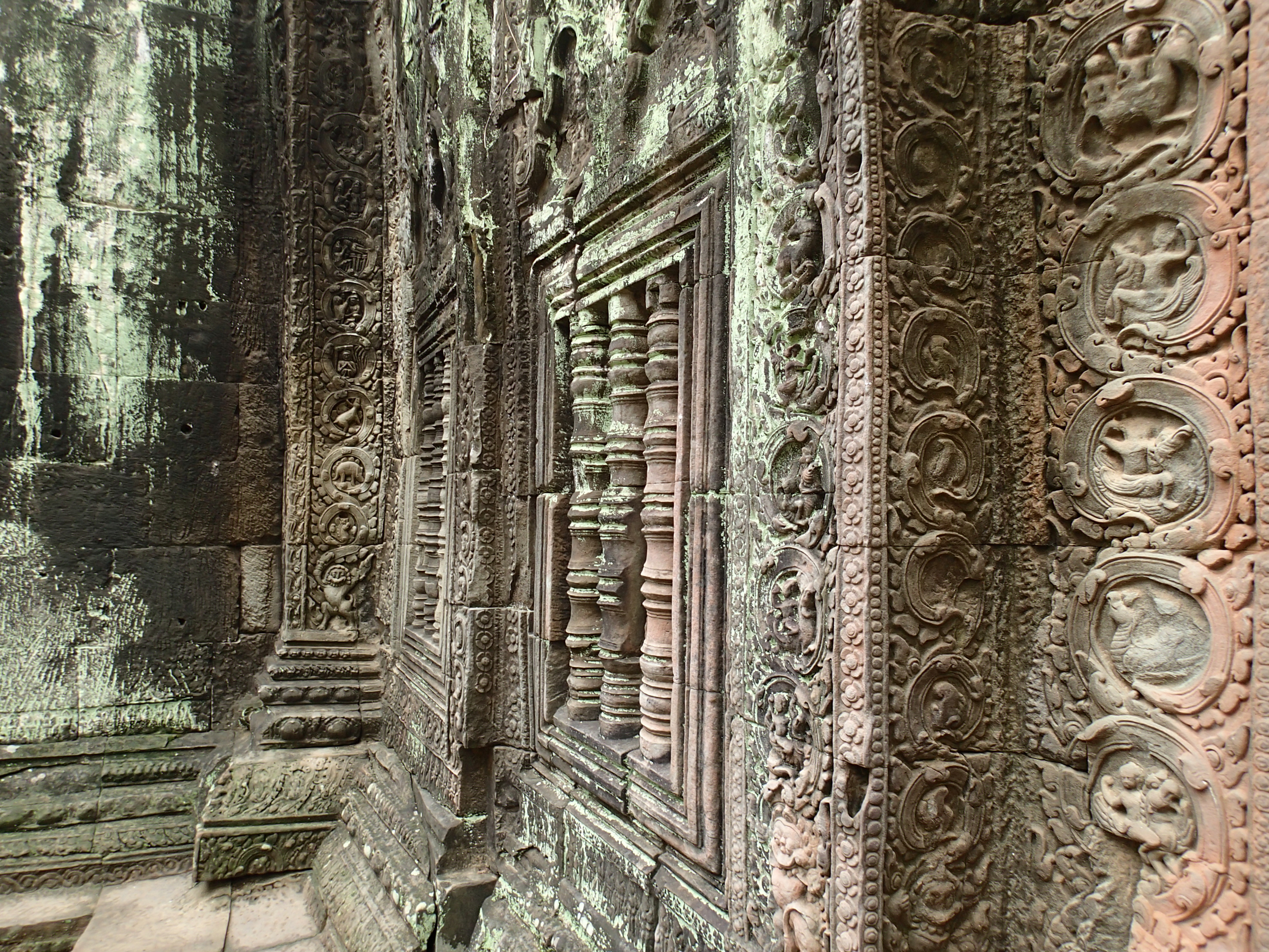 Find the Ta Prohm Stegosaurus