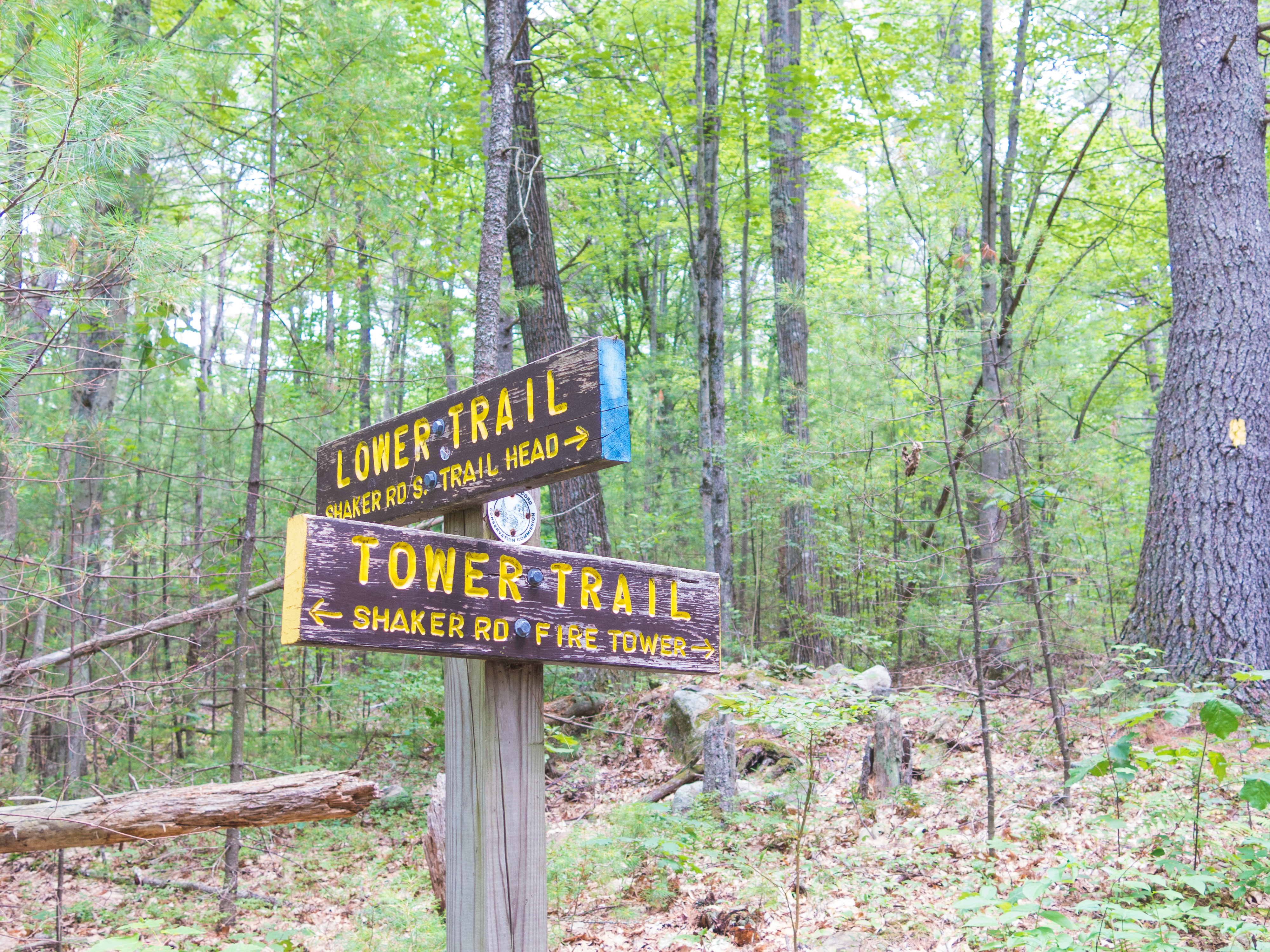 Oak Hill Fire Tower