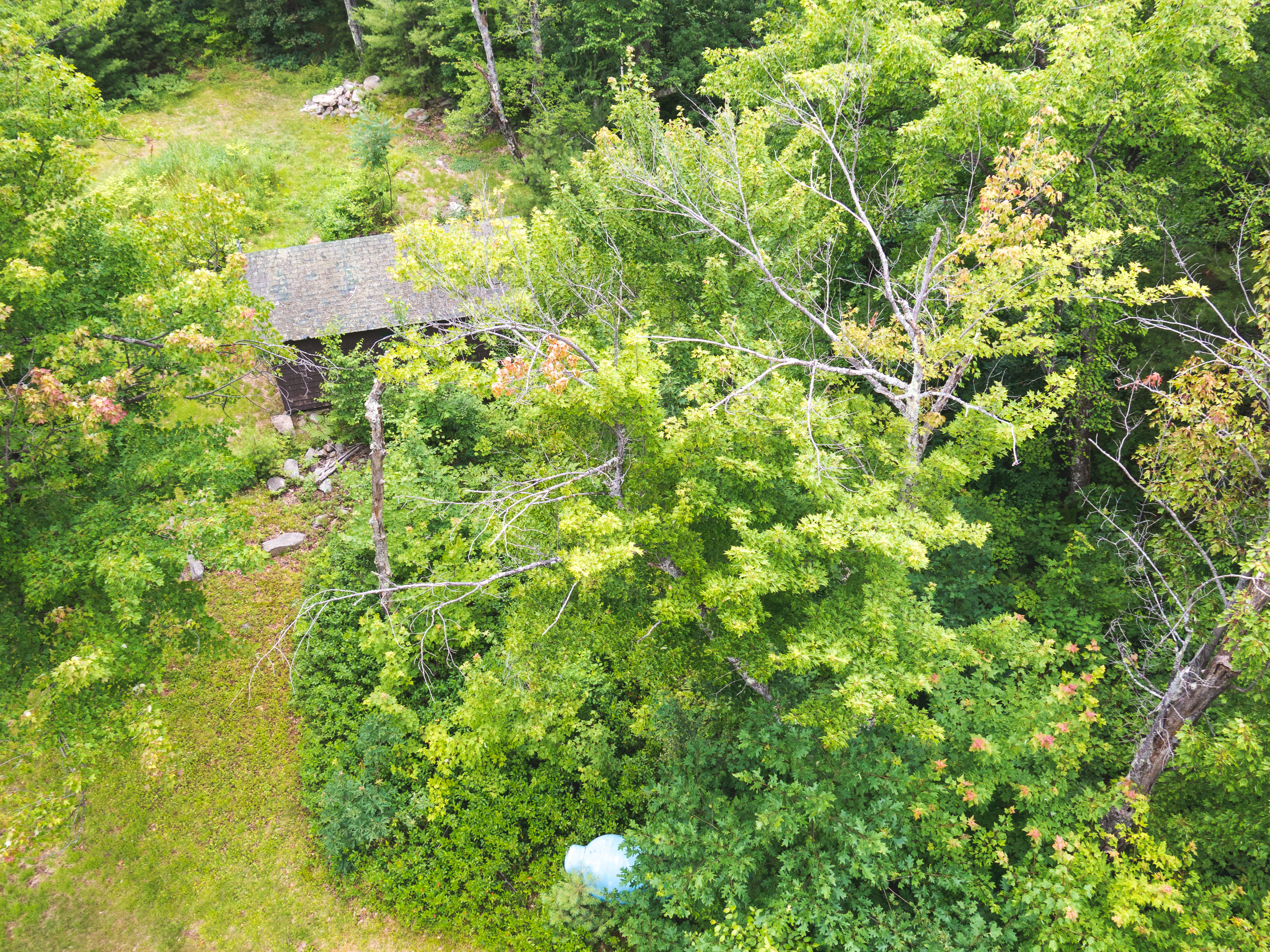 Oak Hill Fire Tower