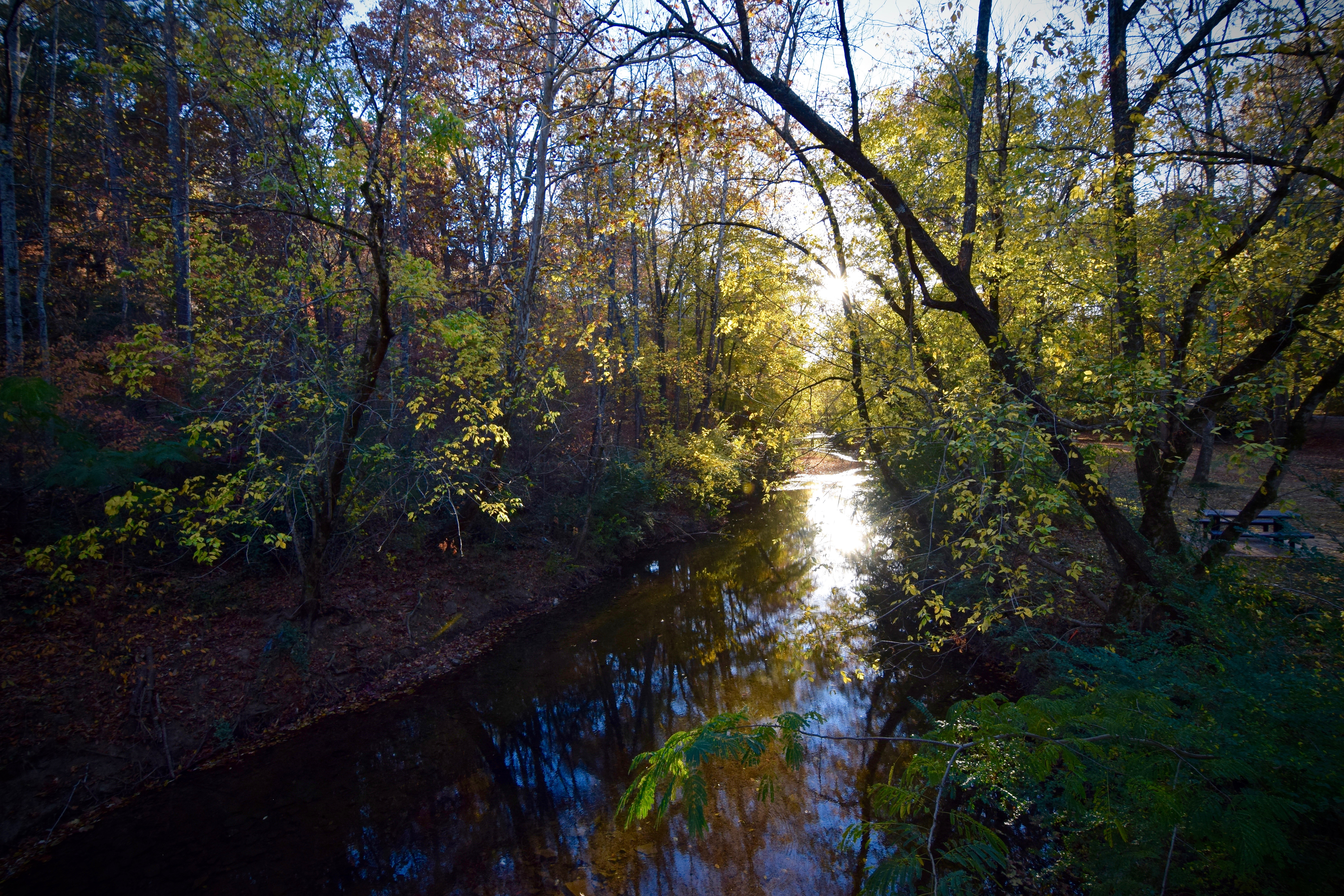 Jemison Park Nature Trail