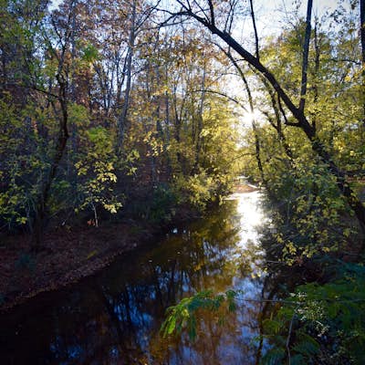 Jemison Park Nature Trail