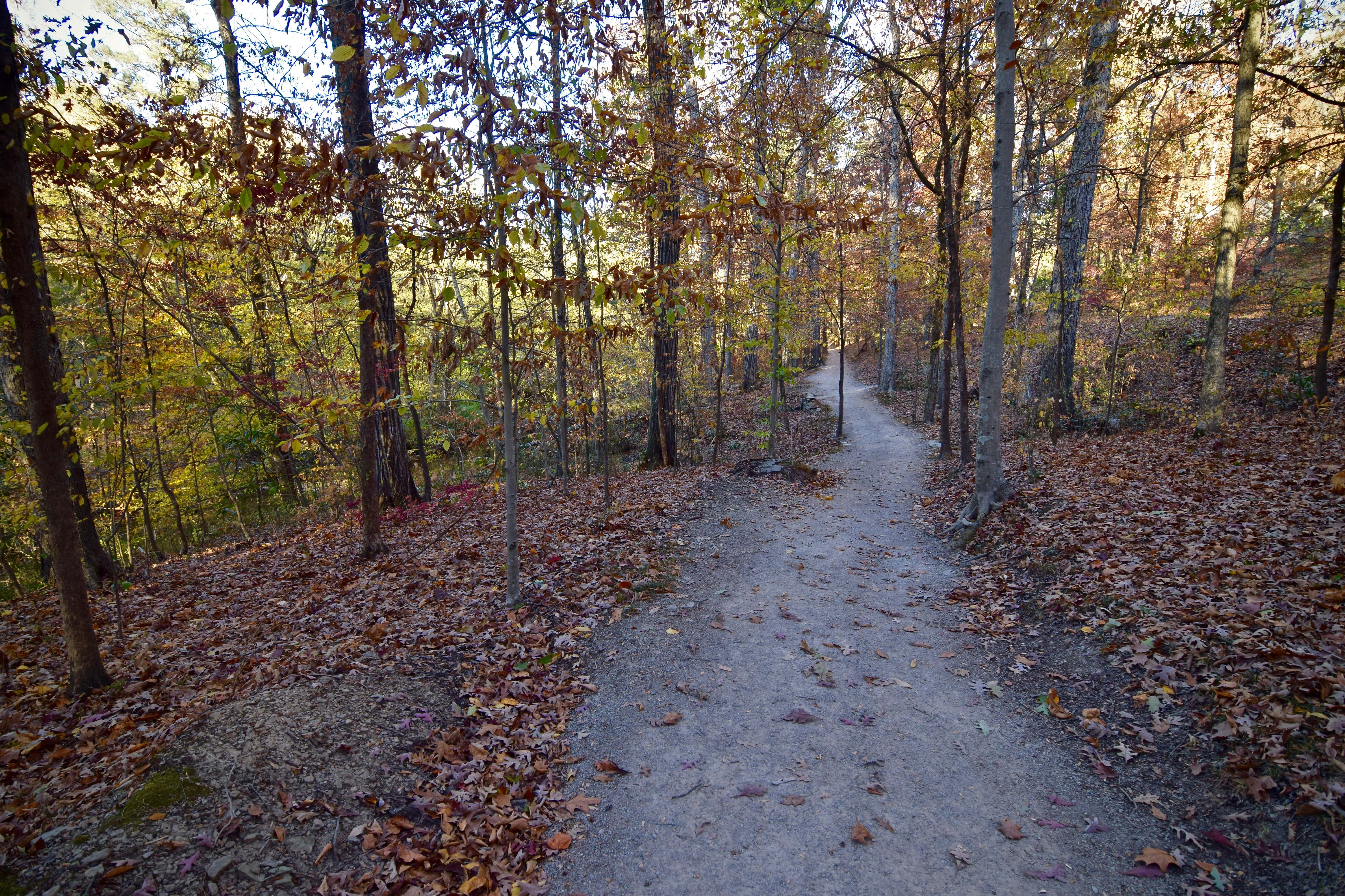 Jemison Park Nature Trail