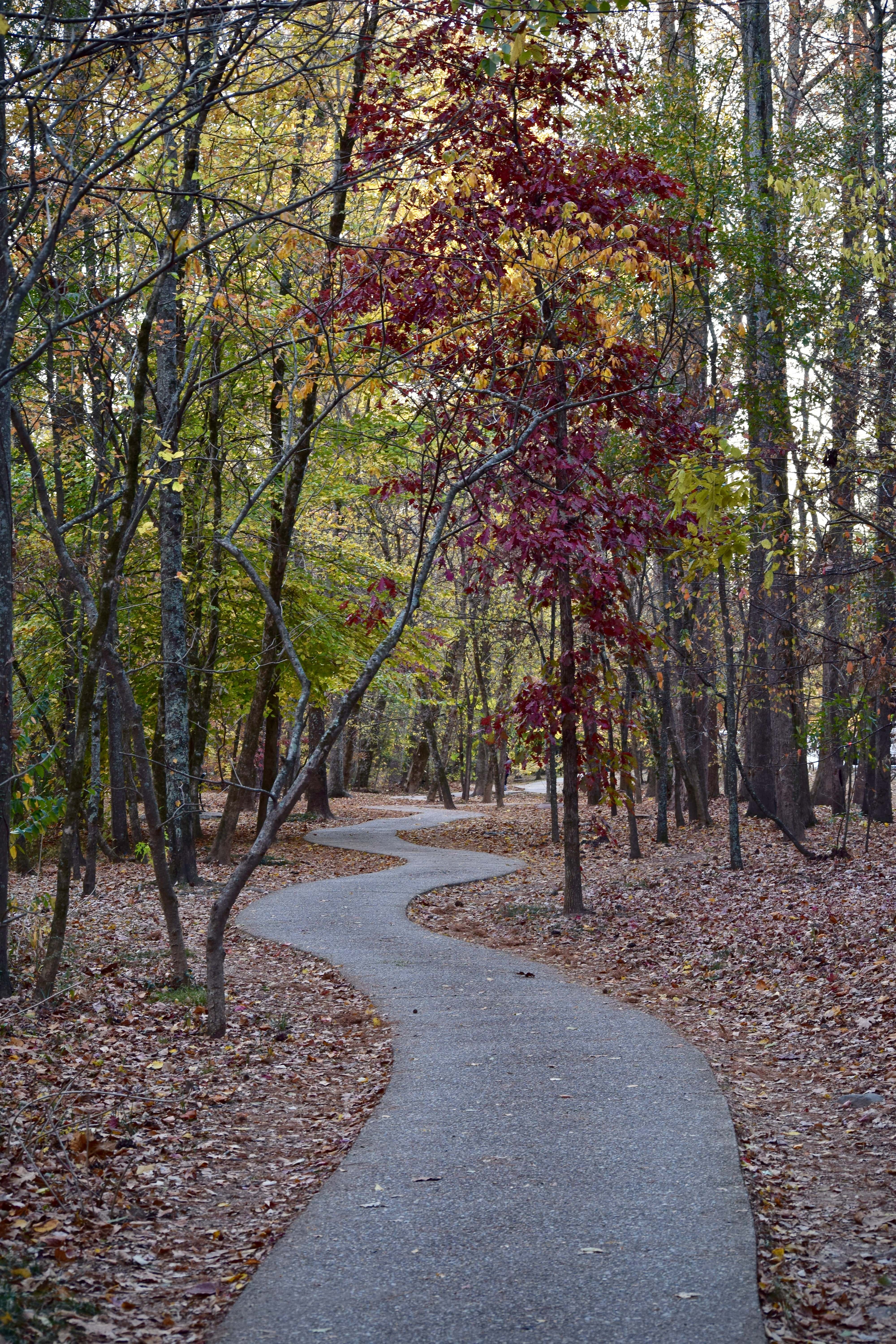 Jemison Park Nature Trail