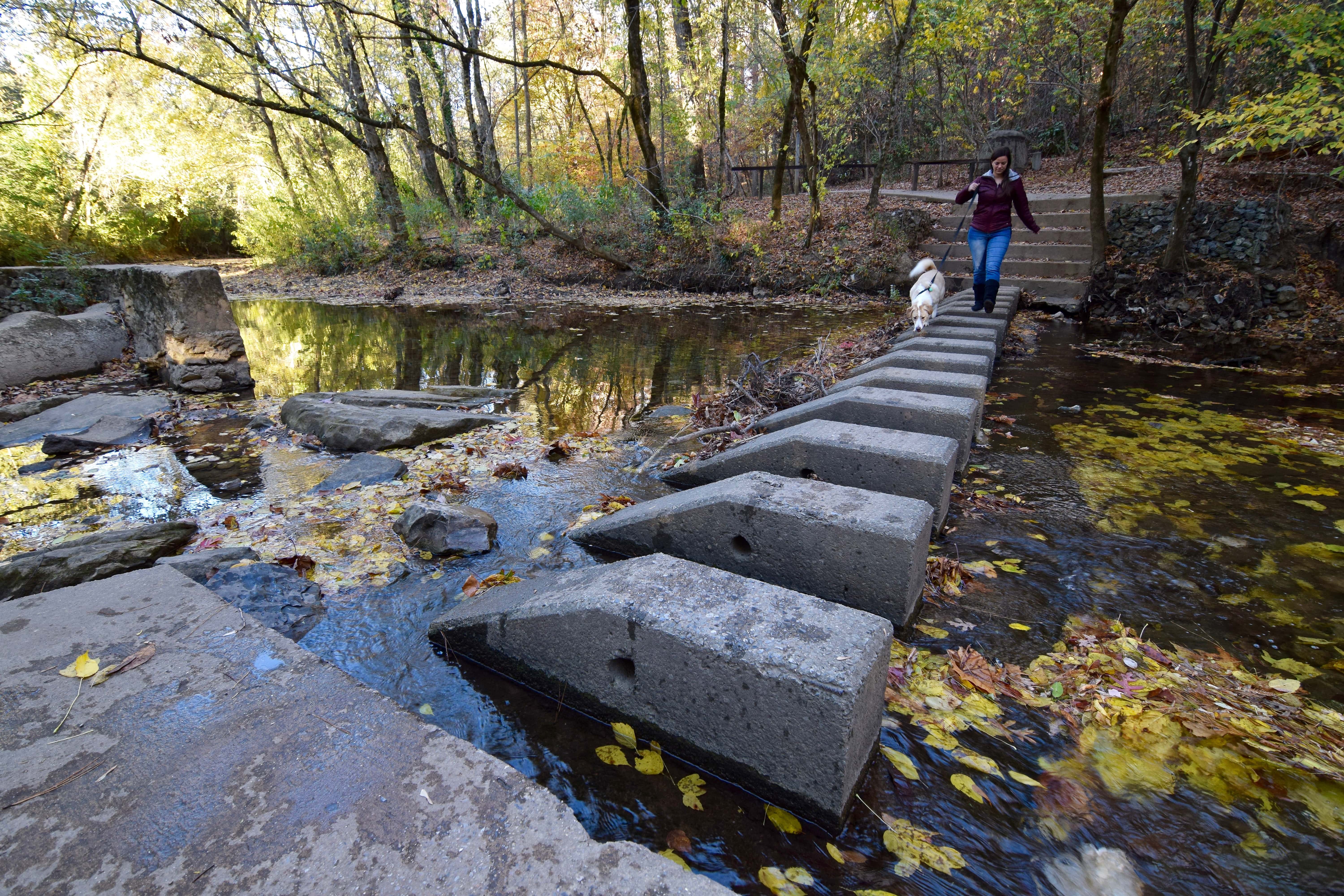 Jemison Park Nature Trail