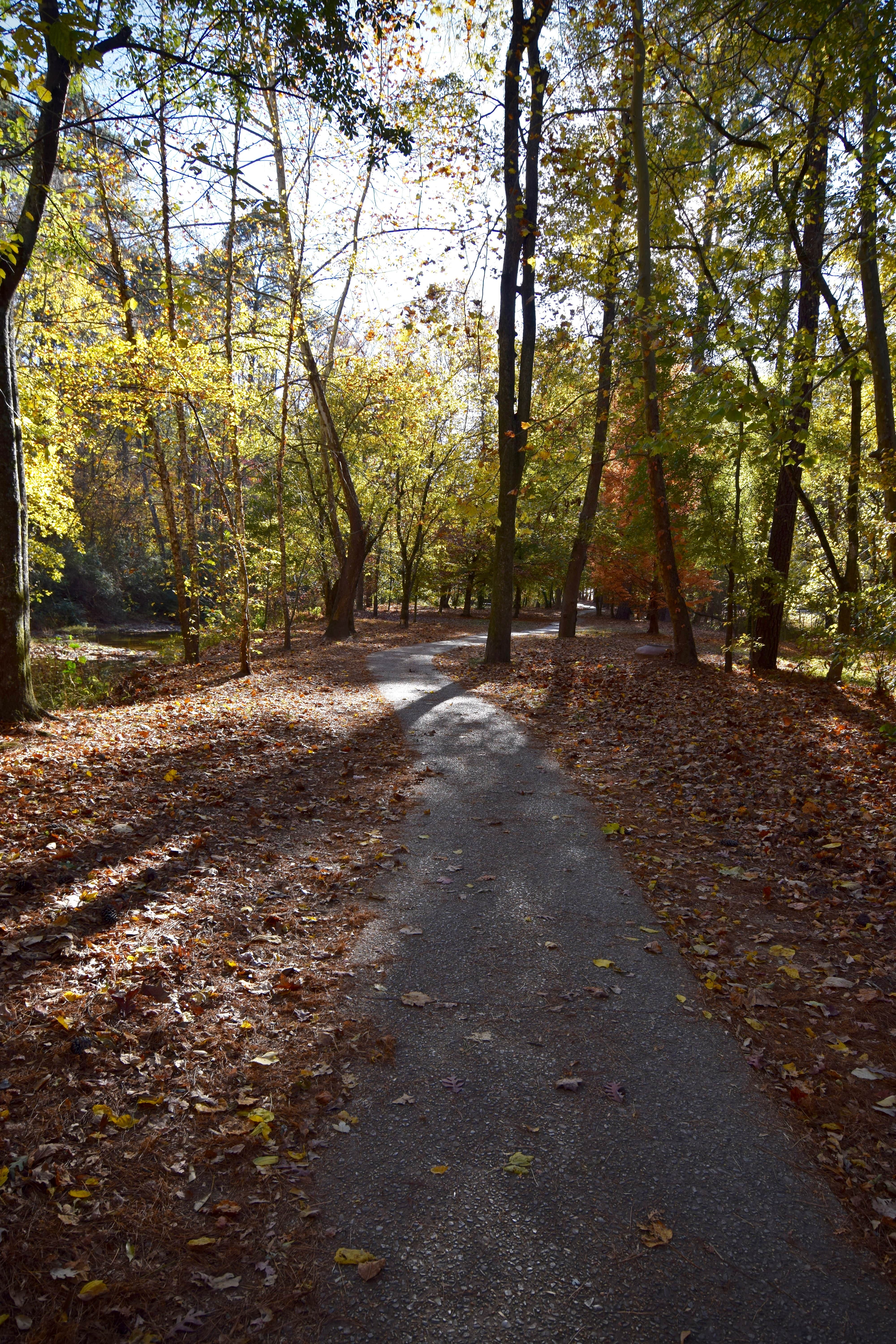 Jemison Park Nature Trail