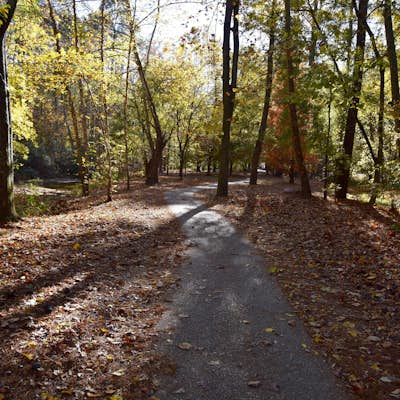 Jemison Park Nature Trail