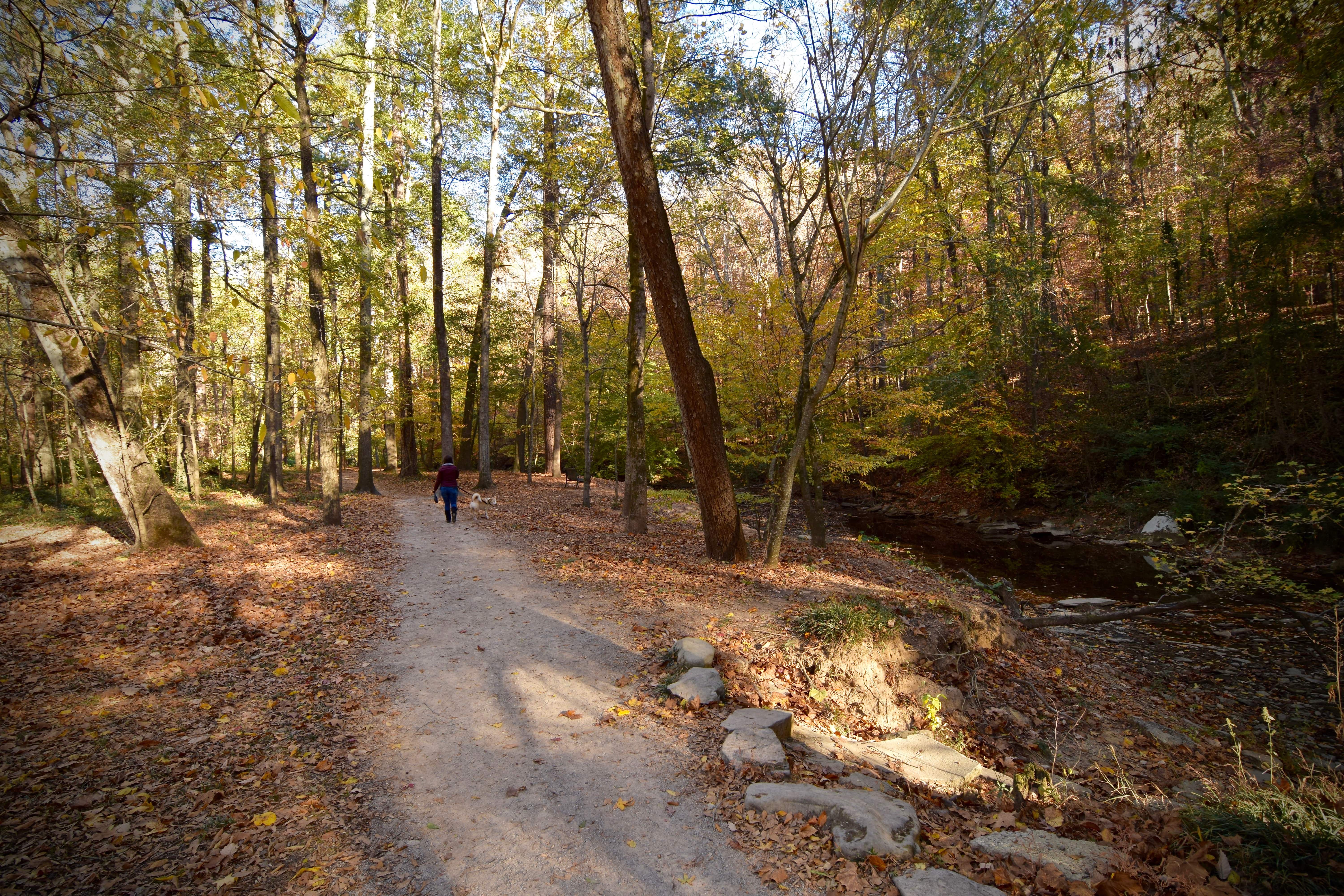 Jemison Park Nature Trail