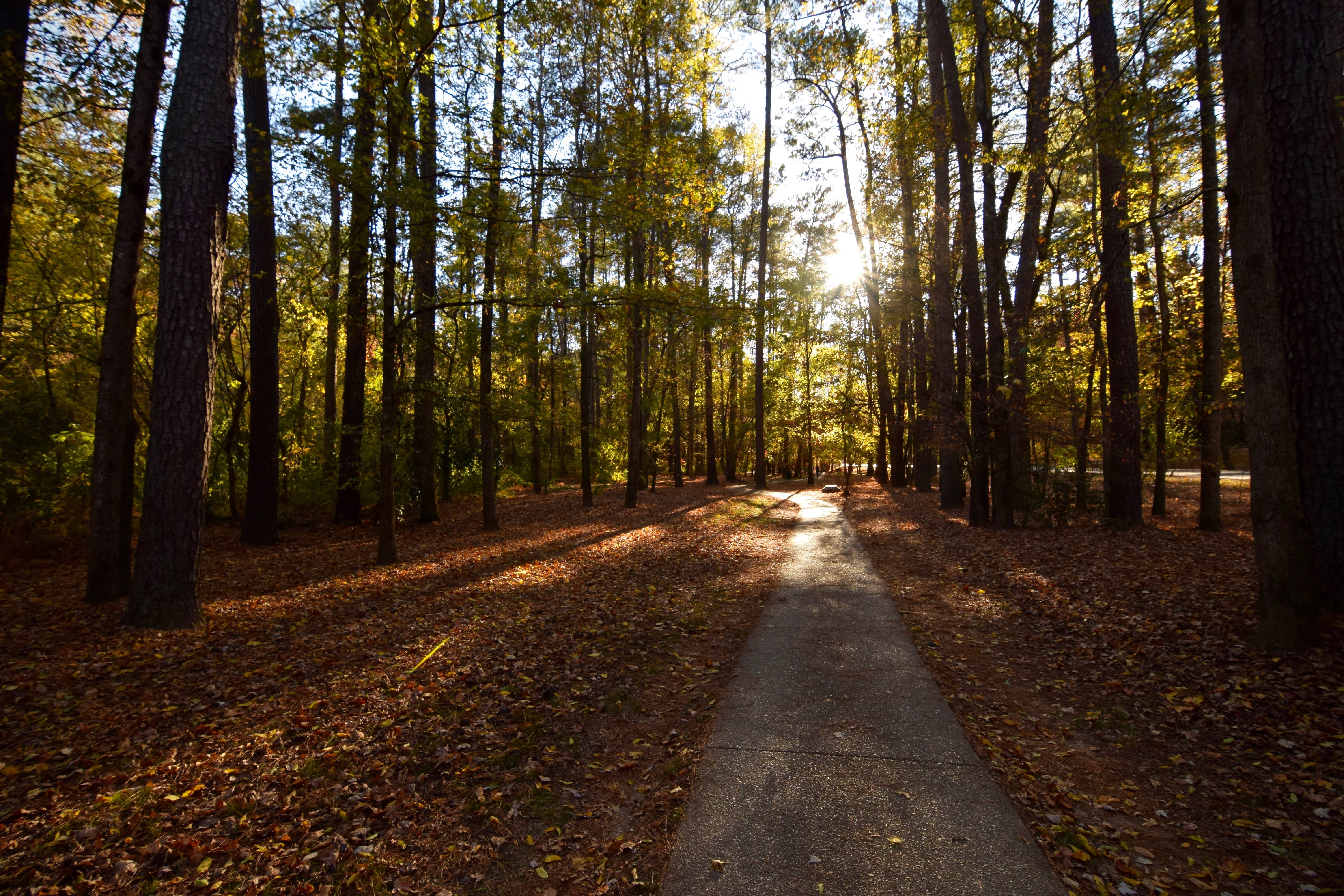 Jemison Park Nature Trail, Mountain Brook, Alabama