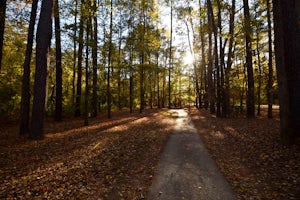 Jemison Park Nature Trail