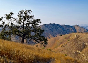 Hike the Upper Las Virgenes Canyon Open Space Preserve Trail