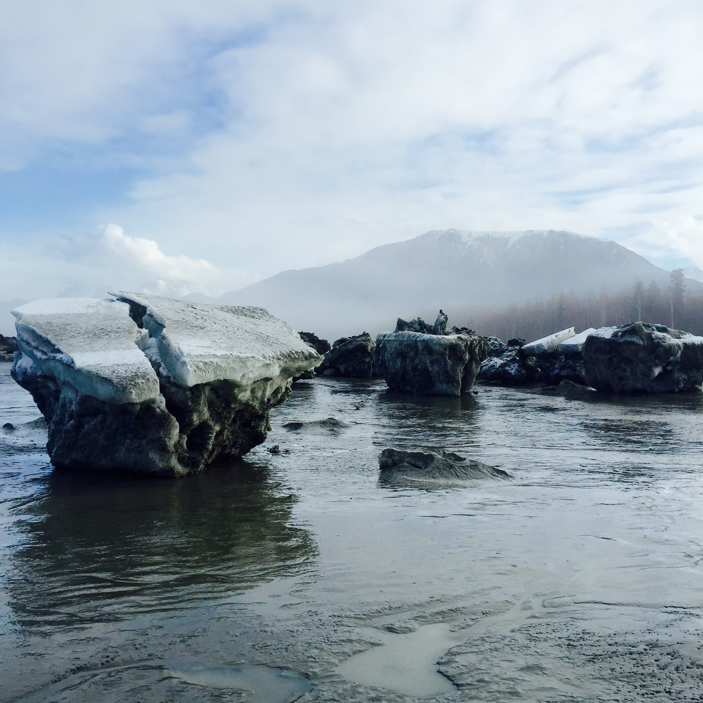 Explore the Knik Arm's Ice Fields