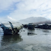 Explore the Knik Arm's Ice Fields