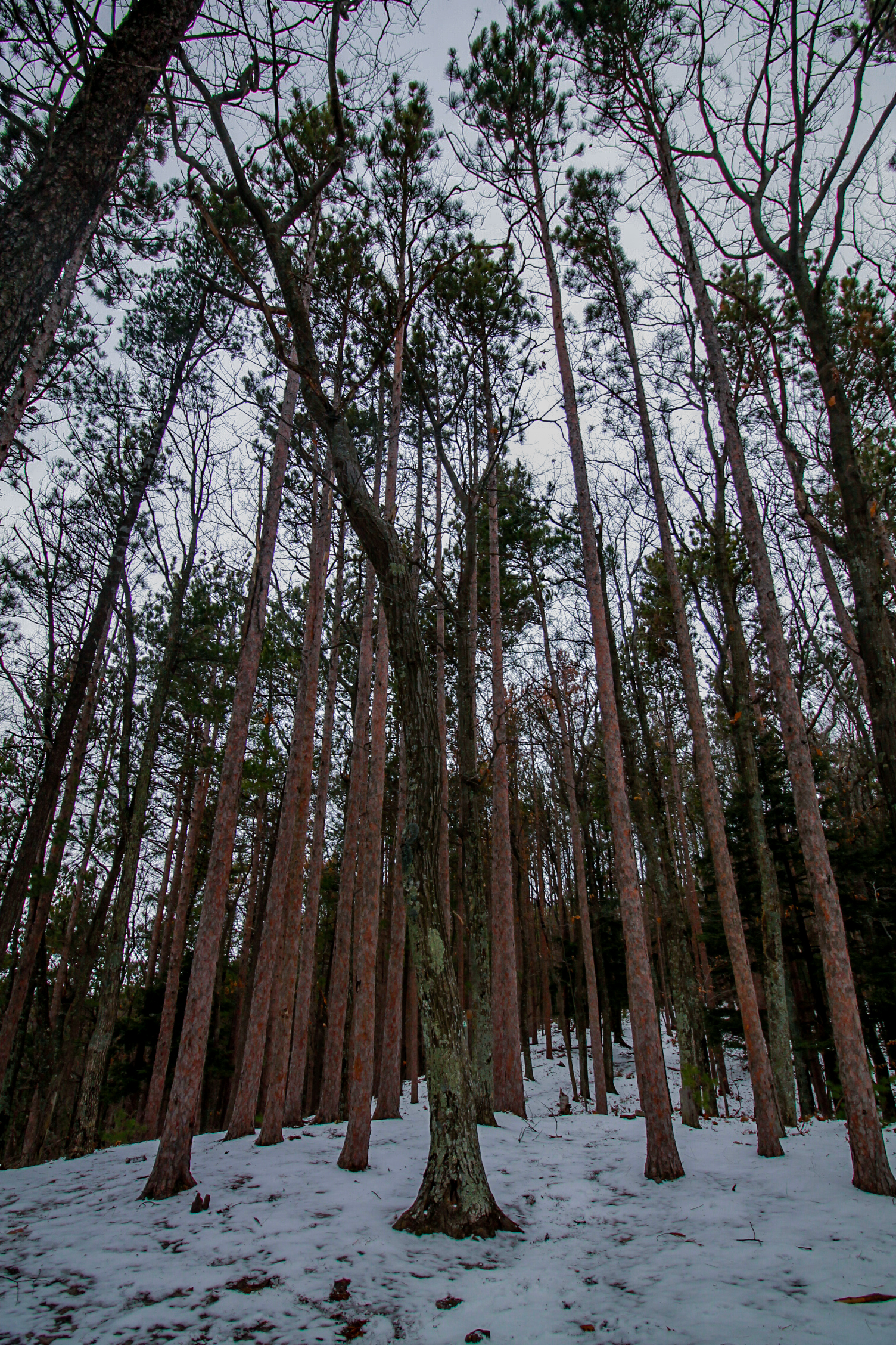 Hike to Big Glen Lookout