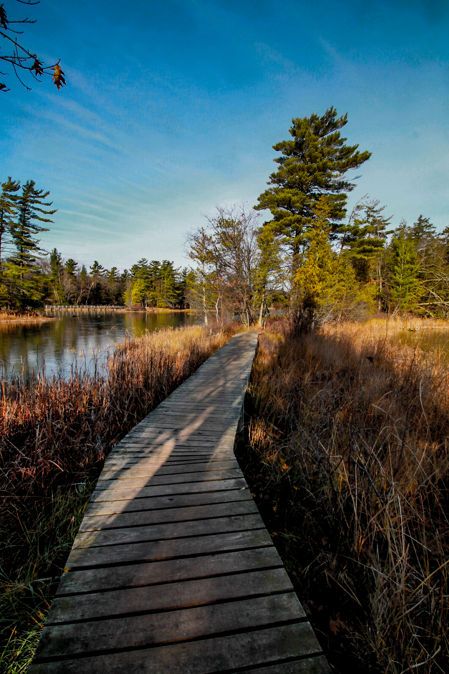 Hike Island Trail