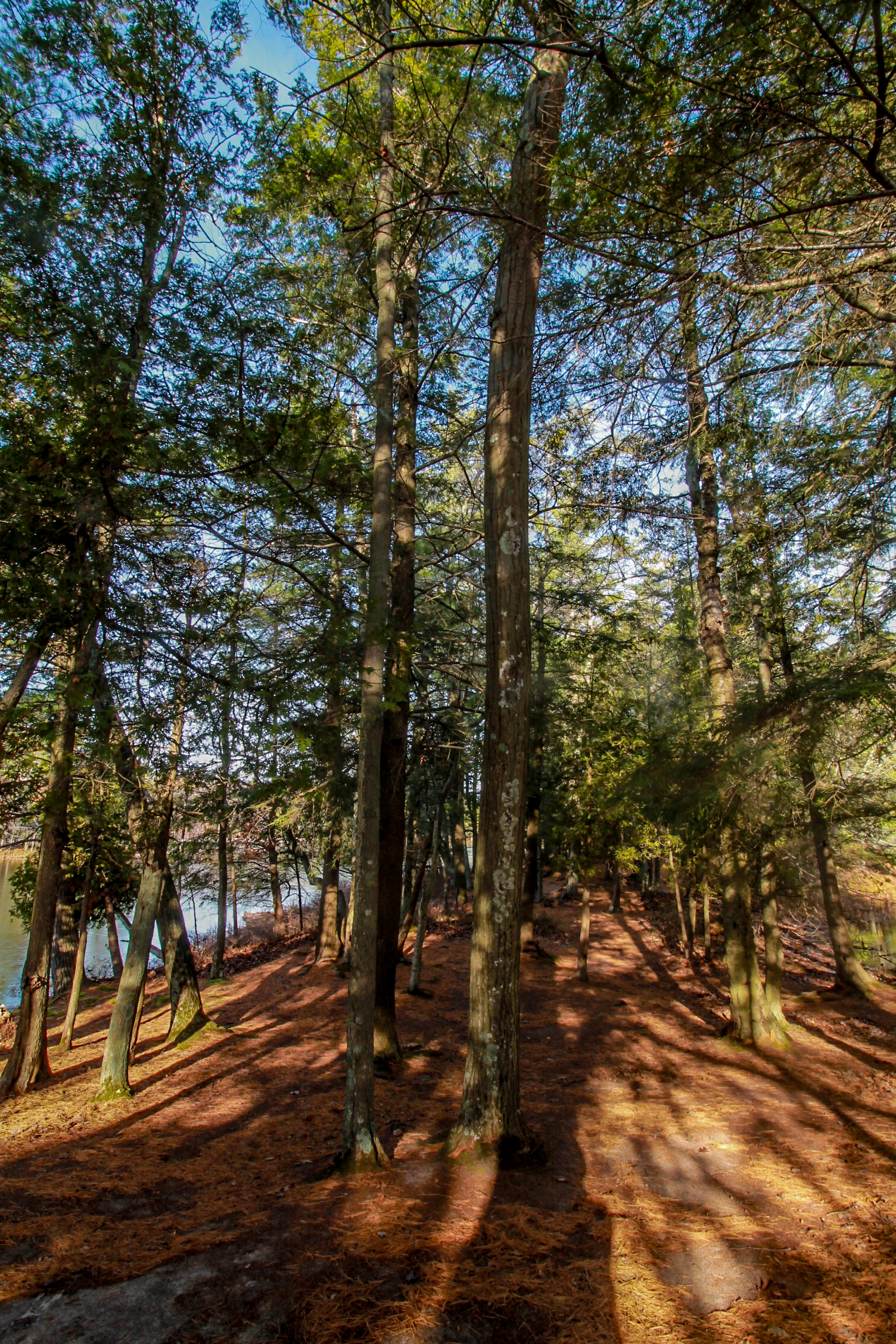 Hike Island Trail