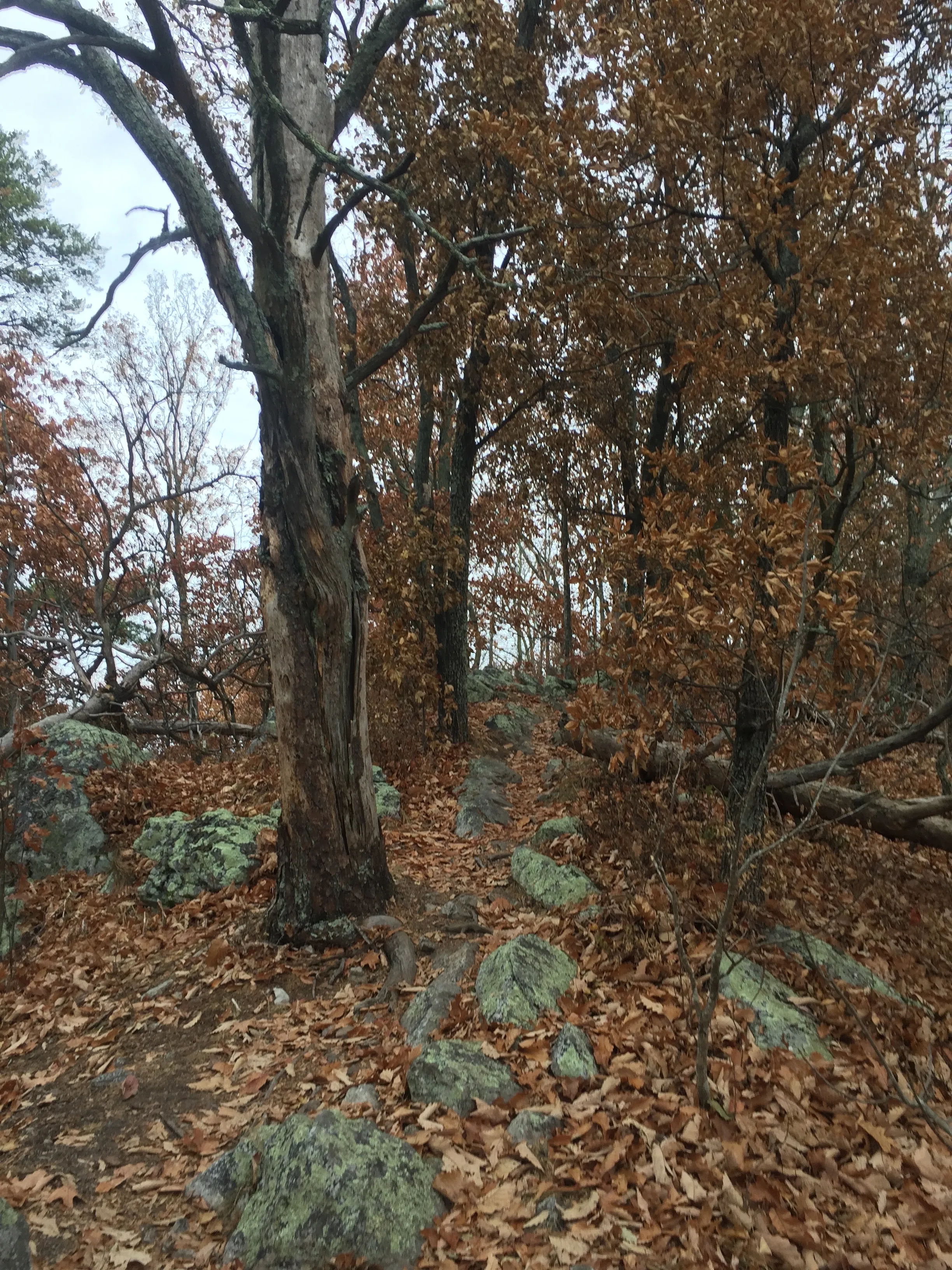 Hike House Mountain, TN